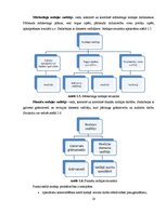 Paraugs 'SIA "Delta" organizācijas struktūra', 10.