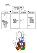 Referāts 'Netradicionālā medicīna', 42.