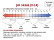 Prezentācija 'Vispārējā un sporta bioķīmija', 6.