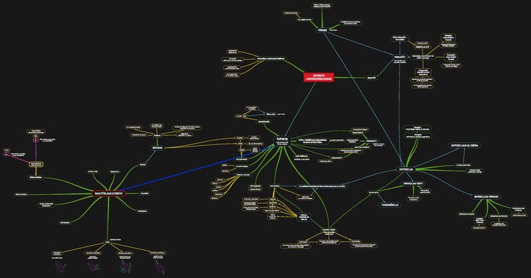 Konspekts 'Mikrobioloģija, Mind Map', 1.