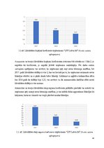 Diplomdarbs 'Uzņēmumu saimnieciskās darbības analīze un pilnveidošanas iespējas apģērbu tirdz', 44.