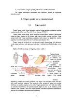 Referāts 'Trigera punkti, to rašanās iemesli, profilakse, ārstēšana', 4.