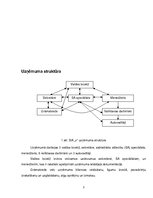 Prakses atskaite 'Sabiedrisko attiecību speciālists uzņēmumā SIA "X"', 5.