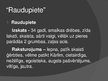 Prezentācija 'R.Blaumaņa noveļu “Salna pavasarī” un “Raudupiete” salīdzinājums', 14.