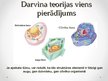 Prezentācija 'Darvina teorija par evolūciju', 7.