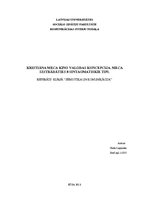 Referāts 'Kristiāna Meca kino valodas koncepcija. Meca izstrādātie astoņi sintagmatiskie t', 1.