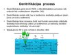 Prezentācija 'Slāpekļa aprite hidroekosistēmās', 13.