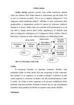 Referāts 'Motivācijas teorijas', 5.