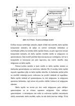 Referāts 'Motivācijas teorijas', 8.