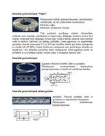 Referāts 'Perforētās lentes, profili un lapas, un to savienojumi', 7.