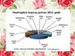 Prezentācija 'Lietuvas tirdzniecība ar citām valstīm', 6.