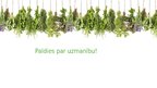 Prezentācija 'Mobilā aplikācija "PlantSnap"', 12.