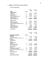 Prakses atskaite 'Finanšu rādītāju analīze 2019.-2021.gads', 20.