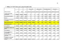 Prakses atskaite 'Finanšu rādītāju analīze 2019.-2021.gads', 28.