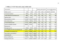 Prakses atskaite 'Finanšu rādītāju analīze 2019.-2021.gads', 32.