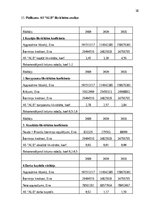 Prakses atskaite 'Finanšu rādītāju analīze 2019.-2021.gads', 38.