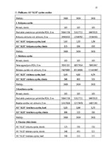 Prakses atskaite 'Finanšu rādītāju analīze 2019.-2021.gads', 41.