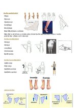 Konspekts 'Cilvēku kustību pamati un motorā kontrole', 2.