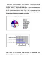 Referāts 'Latvijas valdības koalīcijas', 14.