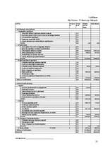 Referāts 'SIA "Norma - S" finansiālās darbības analīze', 22.