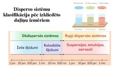 Prezentācija 'Dispersās sistēmas un to klasifikācija', 6.