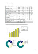 Referāts 'AS "Jauda" kredītspējas analīze un analīzes pamatprincipi', 22.