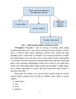 Referāts 'Sīkās motorikas attīstības veicināšana sākumskolas bērniem ar vidēji smagiem un ', 7.