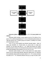 Referāts 'Mārketinga plāns jauna produkta ieviešanai tirgū', 25.