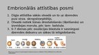 Prezentācija 'Cilvēka embrionālā attīstība pēc apaugļošanas', 4.