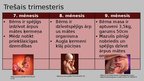 Prezentācija 'Cilvēka embrionālā attīstība pēc apaugļošanas', 7.