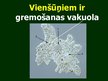 Prezentācija 'Gremošanas orgānu sistēma', 4.