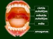 Prezentācija 'Gremošanas orgānu sistēma', 14.