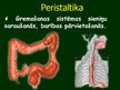 Prezentācija 'Gremošanas orgānu sistēma', 54.