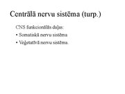 Prezentācija 'Kustību un pozas regulācija', 5.