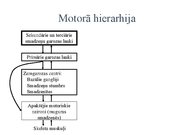 Prezentācija 'Kustību un pozas regulācija', 6.