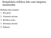 Prezentācija 'Kustību un pozas regulācija', 8.