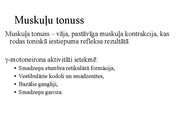 Prezentācija 'Kustību un pozas regulācija', 18.