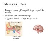 Prezentācija 'Kustību un pozas regulācija', 26.