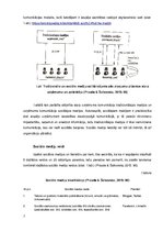 Referāts 'Zīmola "Amoralle" komunikācija sociālajos tīklos', 7.