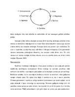 Referāts 'Narkotikas un psiholoģija', 39.