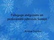 Referāts 'Pedagogu atalgojuma sistēma un profesionālā pilnveide Somijā', 14.