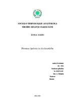 Referāts 'Personas īpašums un tā aizsardzība', 1.