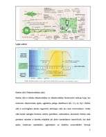 Referāts 'Fotosintēze. Transkripcija. Translācija. DNS kods. Krebsa cikls', 5.