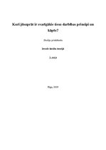 Eseja 'Kuri, jūsuprāt, ir svarīgākie tiesu darbības principi un kāpēc?', 1.