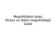 Prezentācija 'Magnētiskais lauks.Strāva un lādiņi magnētiskajā laukā', 1.