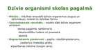 Prezentācija 'Pētījuma apraksts Dabaszinības 5. klase Cilvēku veidotas ekosistēmas - Pagalms', 3.