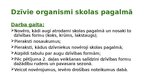 Prezentācija 'Pētījuma apraksts Dabaszinības 5. klase Cilvēku veidotas ekosistēmas - Pagalms', 4.