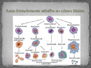 Prezentācija 'Asins sastāvs un funkcijas', 44.