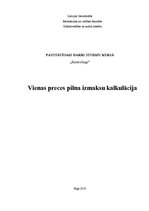 Paraugs 'Vienas preces pilna izmaksu kalkulācija', 1.