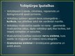 Prezentācija 'Veltņtārpu tips', 2.